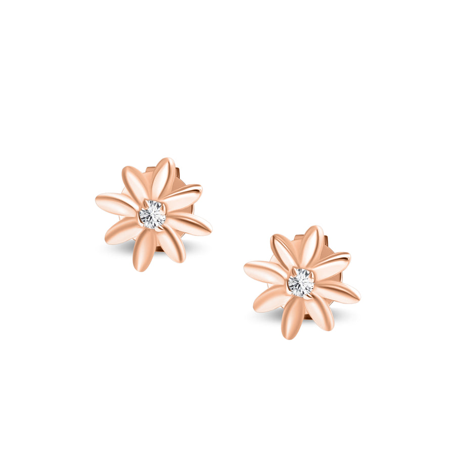 TheLittleThings Diamond Earrings